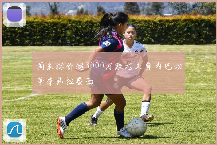 国米标价超3000万欧尤文费内巴切争夺弗拉泰西