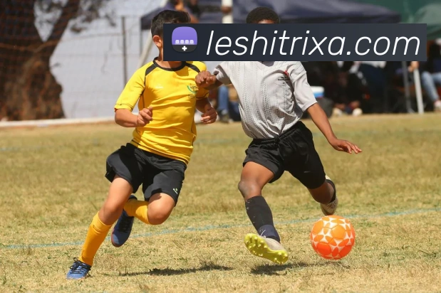 乐视体育平台生态图